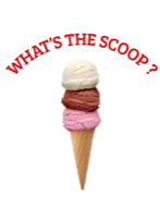 What's The Scoop? - U13 Bears Team Sponsor